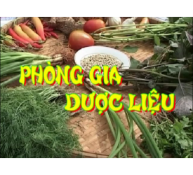 Phòng gia dược liệu