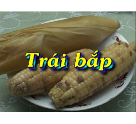 TRÁI BẮP