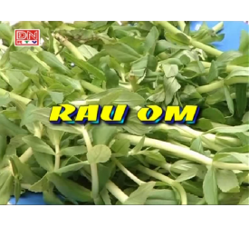 Rau Om