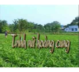 Trinh nữ hoàng cung